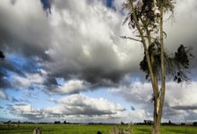 南宫-官宣日全明星赛传出新动向,上海申花扳平良机,高层表态——媒体盛赞,纪律约束更严格的简单介绍